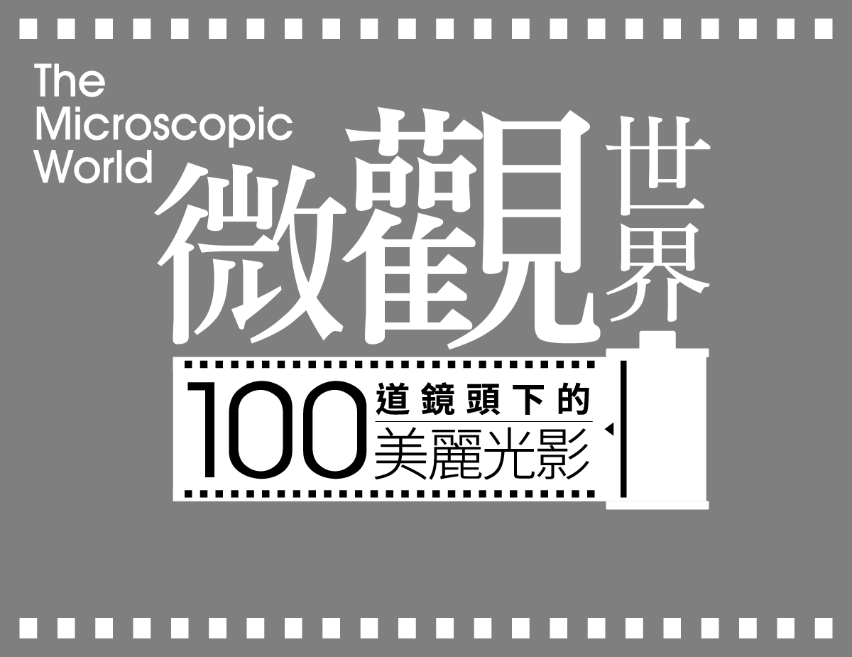 主視覺商標