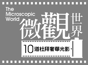 10道杜拜奢華光影
