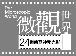 24道南亞神秘光影